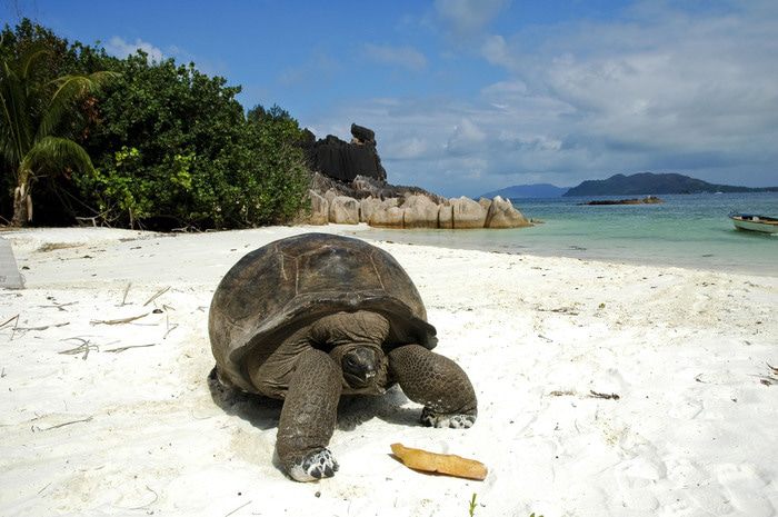 Shore excursions and activities on Emerald Kaia